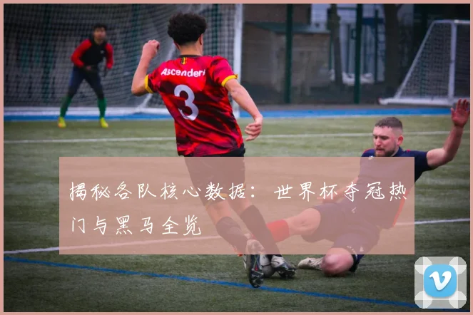 揭秘各队核心数据：世界杯夺冠热门与黑马全览