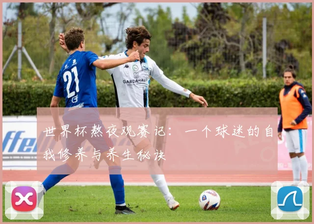 世界杯熬夜观赛记:一个球迷的自我修养与养生秘诀