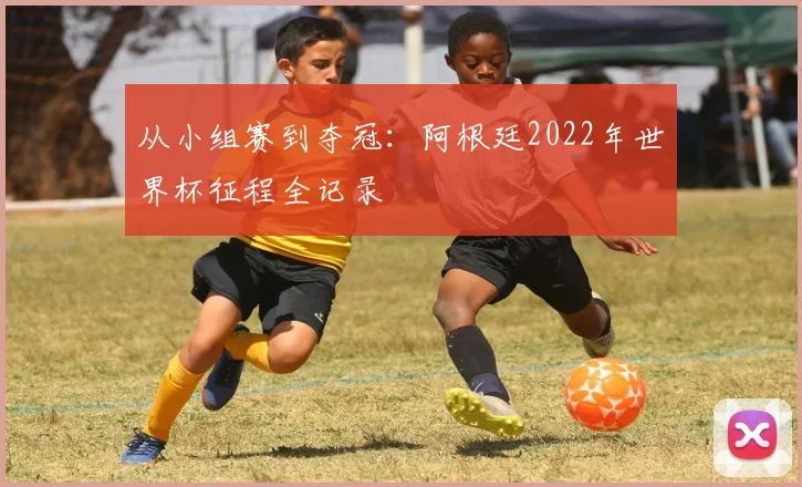 从小组赛到夺冠：阿根廷2022年世界杯征程全记录