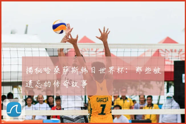 揭秘哈桑萨斯韩日世界杯：那些被遗忘的传奇故事