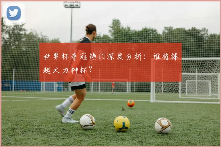 世界杯夺冠热门深度分析：谁将捧起大力神杯？
